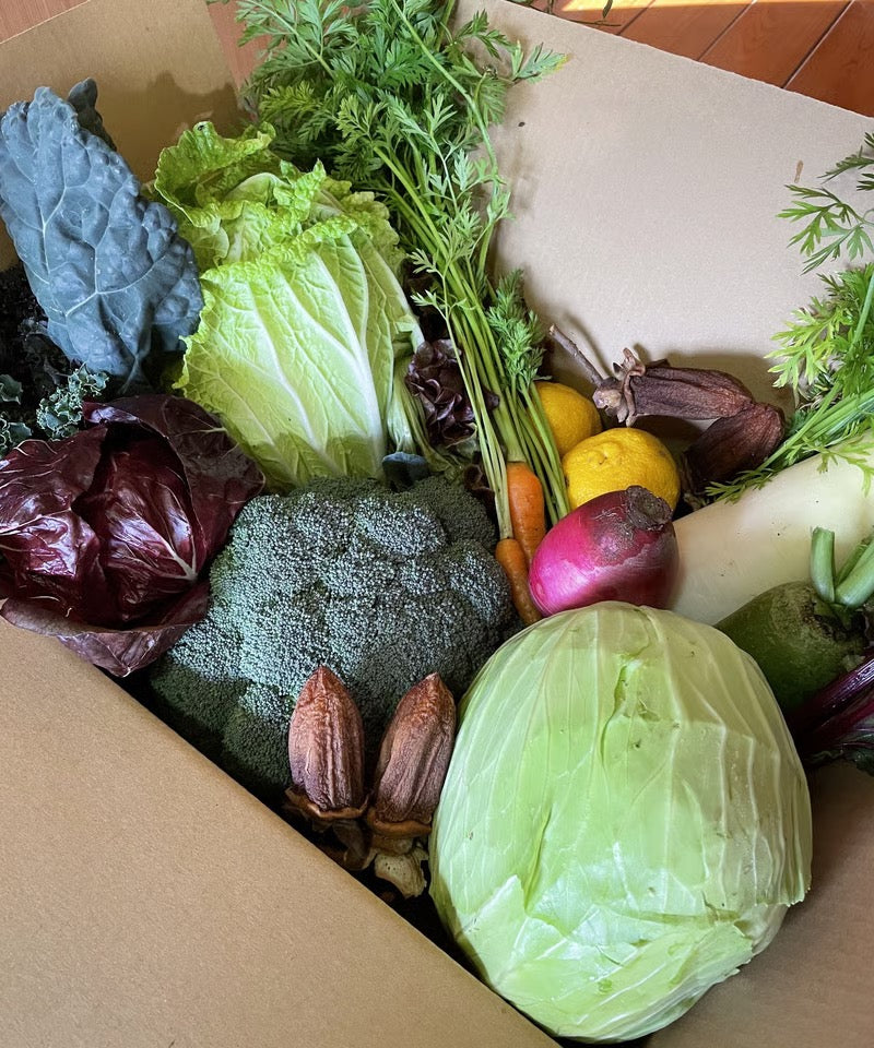 Farmer's Choice Veggie Box - Small (for 2 people)